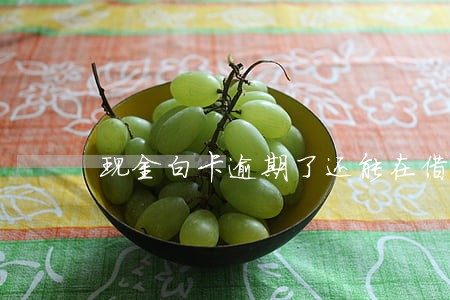 现金白卡逾期了还能在借么 现金白卡逾期了还能在借么