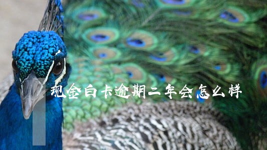 现金白卡逾期二年会怎么样 现金白卡逾期二年会怎么样