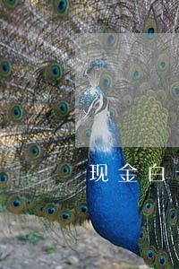 现金白卡逾期交流群 现金白卡逾期交流群