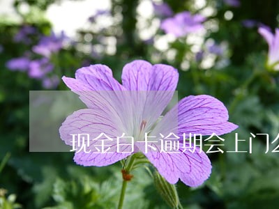 现金白卡逾期会上门么 现金白卡逾期会上门么