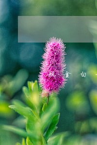 现金白卡逾期几年了