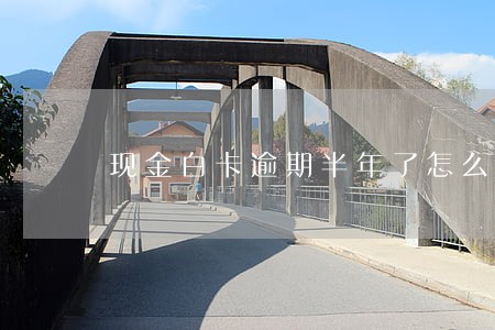 现金白卡逾期半年了怎么办 现金白卡逾期半年了怎么办