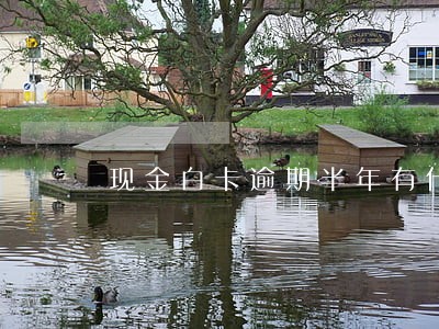 现金白卡逾期半年有什么后果 现金白卡逾期半年有什么后果