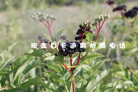 现金白卡逾期协商电话 现金白卡逾期协商电话