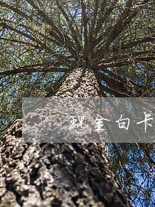 现金白卡逾期发短信 现金白卡逾期发短信