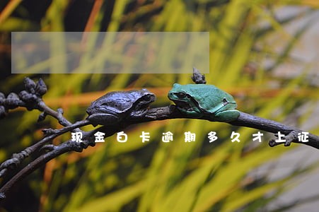 现金白卡逾期多久才上征信 现金白卡逾期多久才上征信
