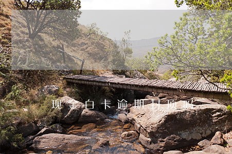 现金白卡逾期封顶吗 现金白卡逾期封顶吗