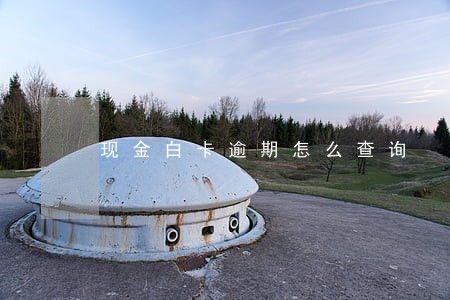 现金白卡逾期怎么查询 现金白卡逾期怎么查询
