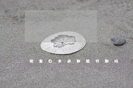 现金白卡逾期能分期吗 现金白卡逾期能分期吗