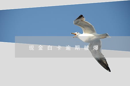 现金白卡逾期被爆