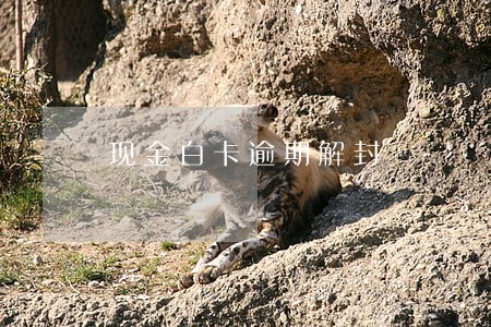 现金白卡逾期解封 现金白卡逾期解封
