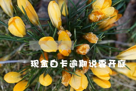 现金白卡逾期说要开庭 现金白卡逾期说要开庭