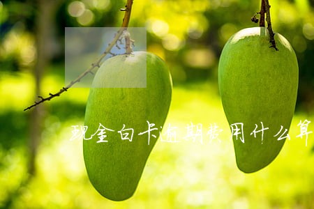 现金白卡逾期费用什么算 现金白卡逾期费用什么算
