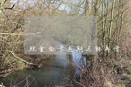 现金白卡逾期还能再借 现金白卡逾期还能再借