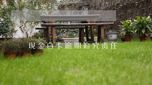 现金白卡逾期追究责任 现金白卡逾期追究责任