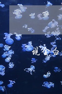现金白卡逾期里面的还能用吗 现金白卡逾期里面的还能用吗