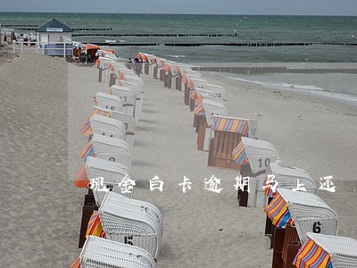 现金白卡逾期马上还 现金白卡逾期马上还