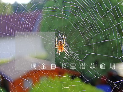 现金白卡里借款逾期上不上征信 现金白卡里借款逾期上不上征信