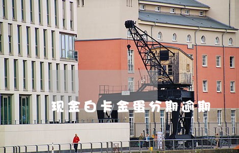 现金白卡金蛋分期逾期 现金白卡金蛋分期逾期