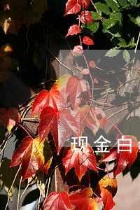 现金白金卡逾期逾期5天 现金白金卡逾期逾期5天