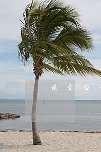现金白金逾期 现金白金逾期