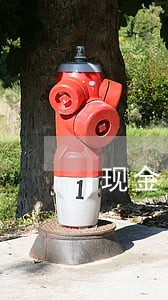现金白银逾期 现金白银逾期