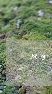 现金的士逾期能下不 现金的士逾期能下不