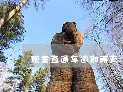 现金直通车逾期两天