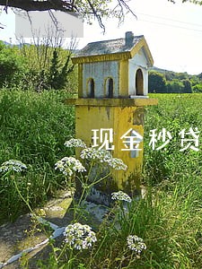现金秒贷一直打电话说我逾期 现金秒贷一直打电话说我逾期