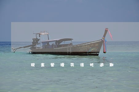 现金管理类信托逾期 现金管理类信托逾期
