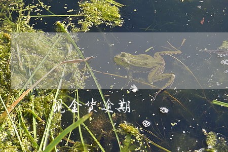 现金货逾期 现金货逾期