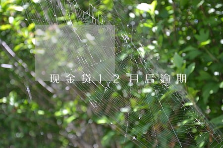 现金贷12月后逾期 现金贷12月后逾期