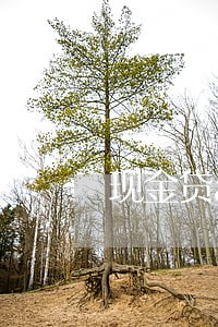 现金贷app说我逾期了 现金贷app说我逾期了