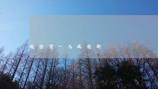 现金贷一大波逾期