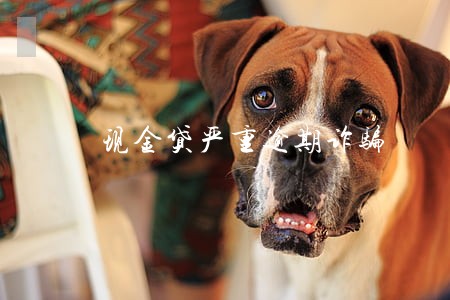 现金贷严重逾期诈骗