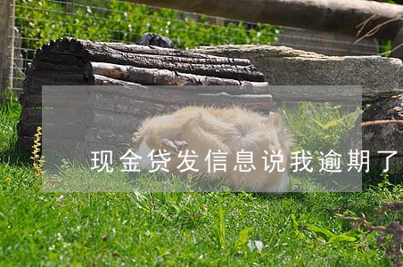 现金贷发信息说我逾期了 现金贷发信息说我逾期了