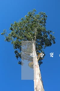 现金贷和手机分期逾期怎么办 现金贷和手机分期逾期怎么办
