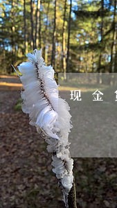 现金贷大量逾期 现金贷大量逾期