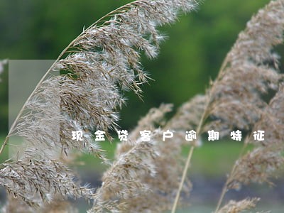 现金贷客户逾期特征 现金贷客户逾期特征