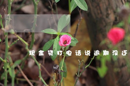 现金贷打电话说逾期没还钱 现金贷打电话说逾期没还钱