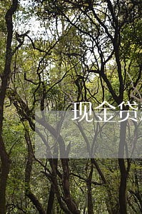 现金贷新规出台逾期 现金贷新规出台逾期