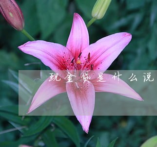 现金贷是什么说我逾期 现金贷是什么说我逾期
