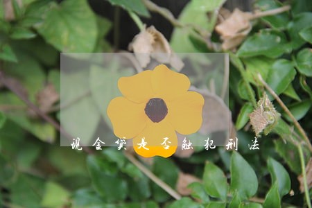 现金贷是否触犯刑法 现金贷是否触犯刑法
