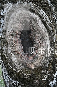 现金贷款逾期一天多少钱 现金贷款逾期一天多少钱