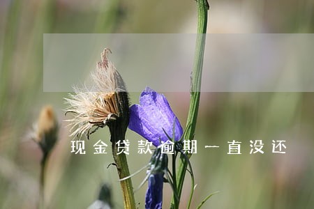 现金贷款逾期一直没还 现金贷款逾期一直没还