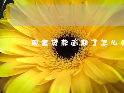 现金贷款逾期了怎么办 现金贷款逾期了怎么办