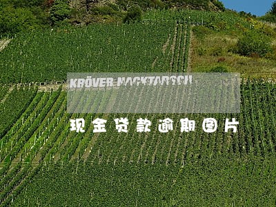现金贷款逾期图片