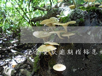 现金贷款逾期指标总结 现金贷款逾期指标总结