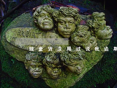 现金贷没用过说我逾期 现金贷没用过说我逾期