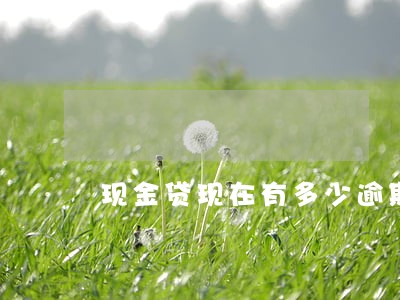 现金贷现在有多少逾期 现金贷现在有多少逾期